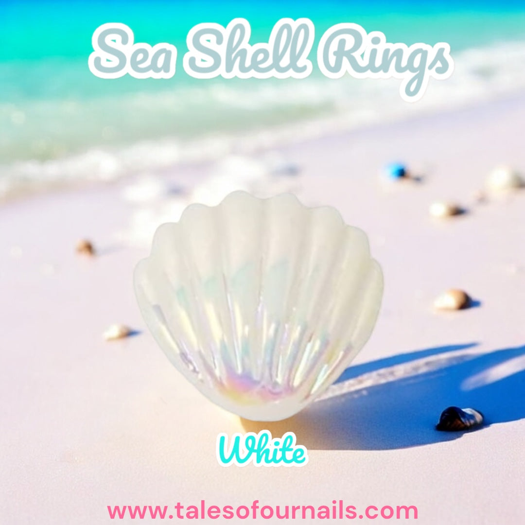 Sea Shell Rings