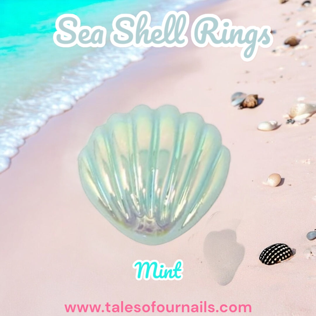 Sea Shell Rings