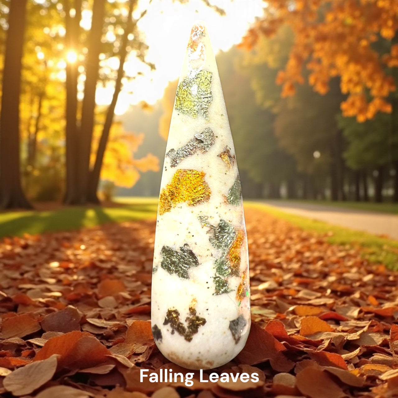 November Releases 2025