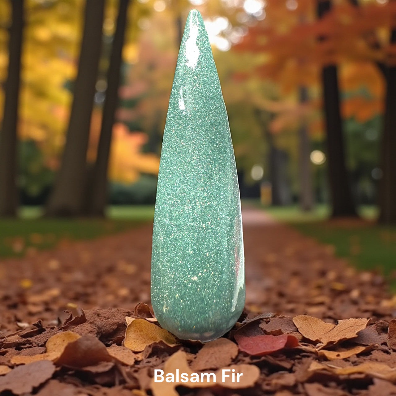 November Releases 2025