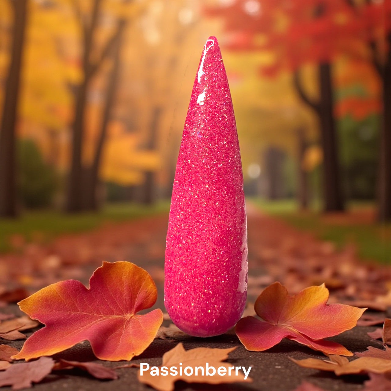 November Releases 2025