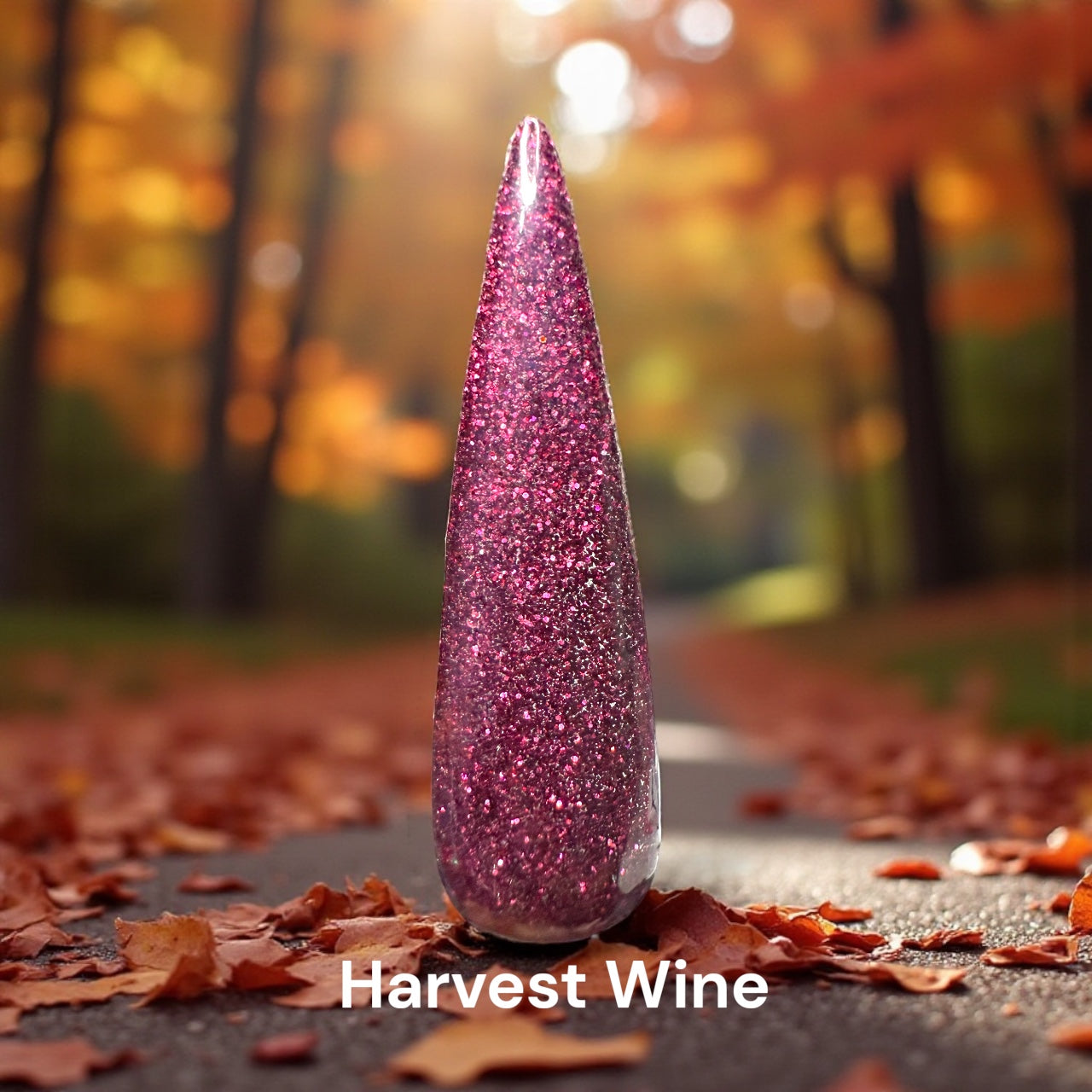 November Releases 2025