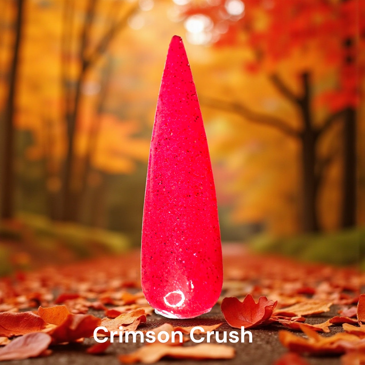 November Releases 2025