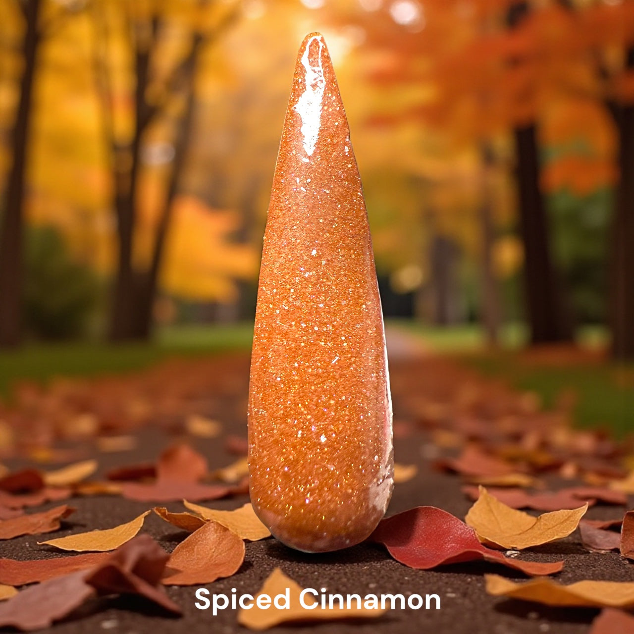 November Releases 2025