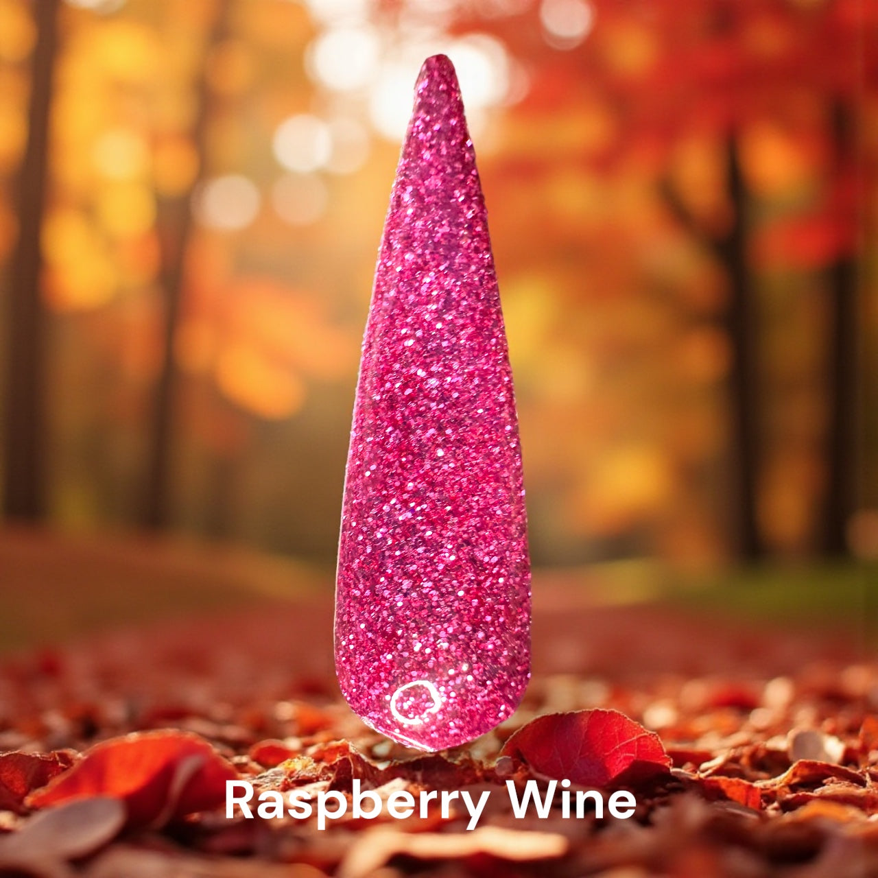 November Releases 2025