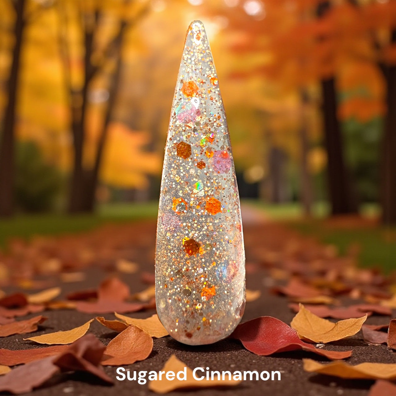 November Releases 2025